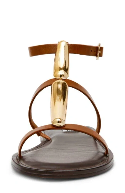 Steve Madden Alma Gladiator Sandal In Tan Leather