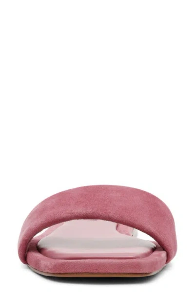 Steve Madden Lumina Slide Sandal In Pink