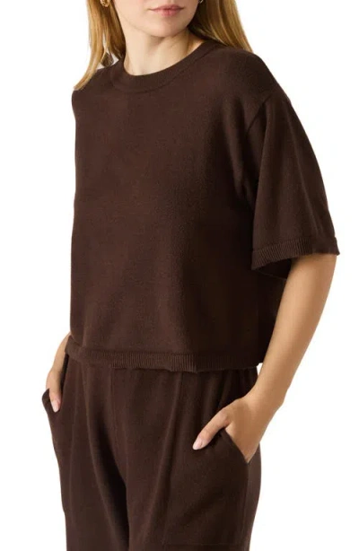 Steve Madden Kori Elbow Sleeve Crewneck Sweater In Brown