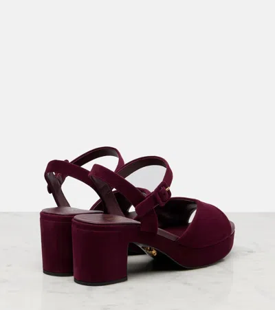 Prada 65mm Buckle-strap Platform Sandals In Burgundy