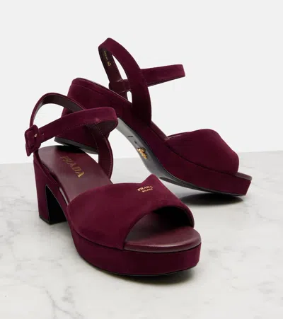 Prada 65mm Buckle-strap Platform Sandals In Burgundy