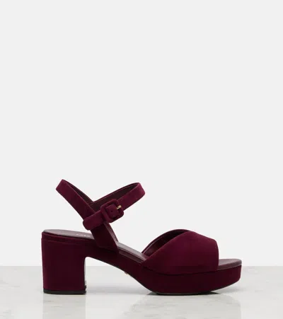 Prada 65mm Buckle-strap Platform Sandals In Burgundy
