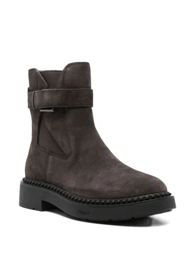 Ash Margot Moto Bootie In Black