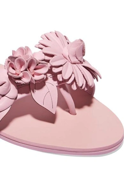 Shop Sophia Webster Lilico Appliquéd Leather Slides In Pink