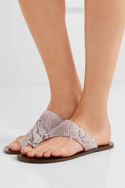 Shop Atp Atelier Rosa Python Sandals