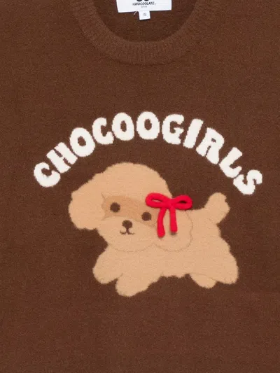 Chocoolate Puppy-print Jumper In Brown
