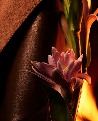 Bvlgari Man In Black Eau De Parfum, 3.4 Oz. In Transparent