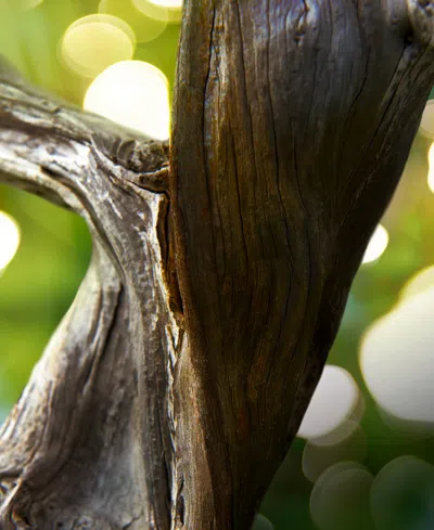 Bvlgari Man Wood Essence Eau De Parfum, 3.4 Oz. In Transparent