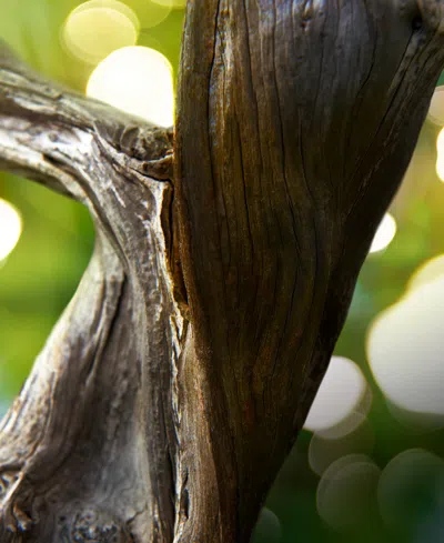 Bvlgari Man Wood Essence Eau De Parfum 5 Oz. In Transparent