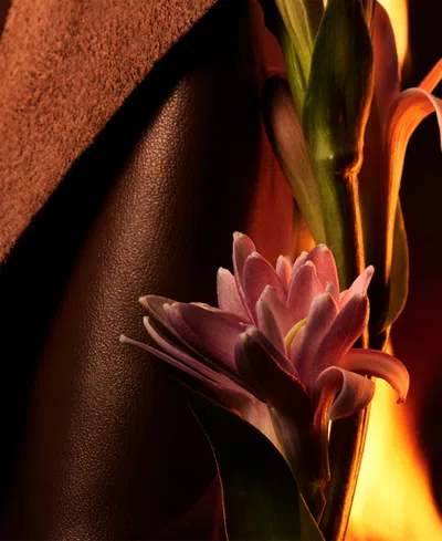 Bvlgari Man In Black 3.4 oz/ 100 ml Eau De Parfum Spray In Black