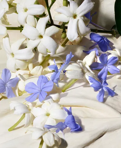 Dolce & Gabbana Dolce 2-pc. Blue Jasmine Eau De Parfum Duo Gift Set In Multi