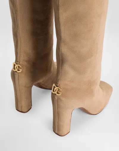 Dolce & Gabbana Knee-high Suede Block Heel Boots In Neutral