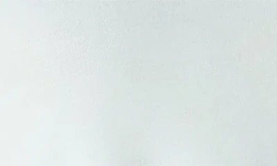 Posh Peanut Lace Camisole In Blue