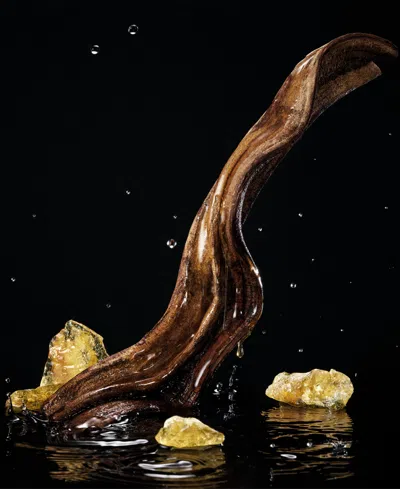 Dolce & Gabbana Velvet Honey Santal Fragrance, 3.3 oz In Transparent