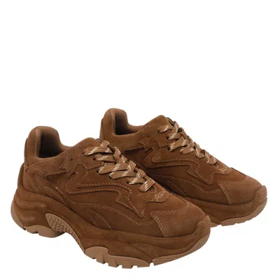 Ash Suede Sneakers With Chunky Sole And Round Toe In Brown