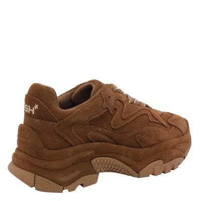 Ash Suede Sneakers With Chunky Sole And Round Toe In Brown