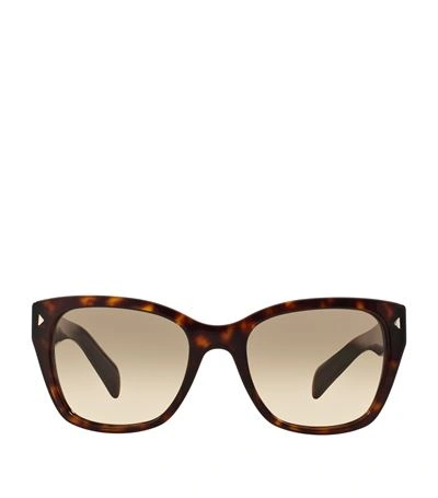 Prada 54mm Square Sunglasses In Brown