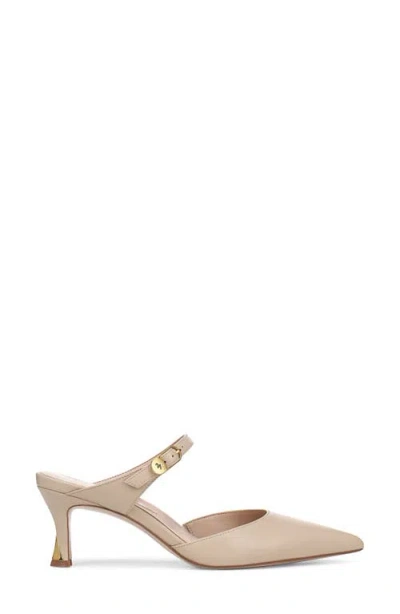 27 Edit Naturalizer Ileene Pointed Toe Mule