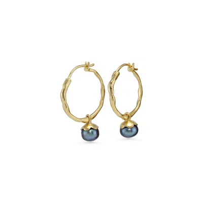 Isla Silver Women's Gold / Black Peacock Pearl Molten Gold Hoop Earrings In Brown