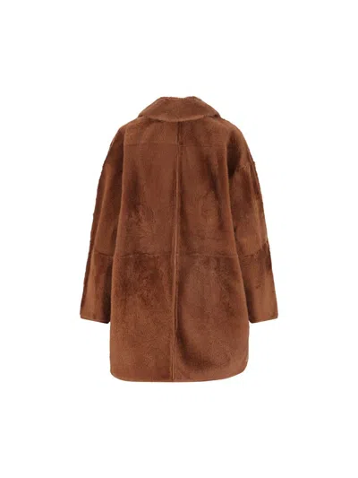 Max Mara Coats In Brown