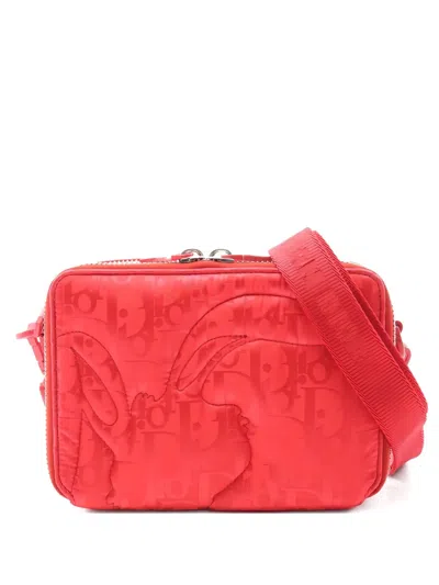 Pre-owned Dior Erl Mirage Shoulder Bag In Pink