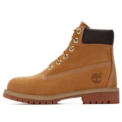 Timberland 6 Inch Premium Waterproof Lace-up Boots In Multi