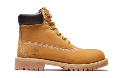 Timberland 6 Inch Premium Waterproof Lace-up Boots In Multi