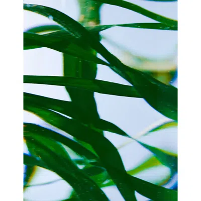 Byredo Vetyver Hand Wash Refill 450ml