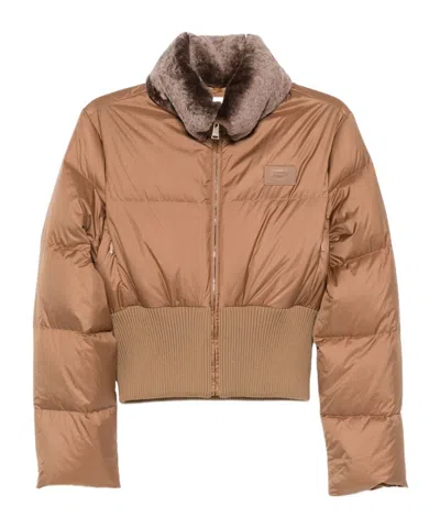 Fendi Short Padded Down Jacket With Shearling Collar Clothing In Brown