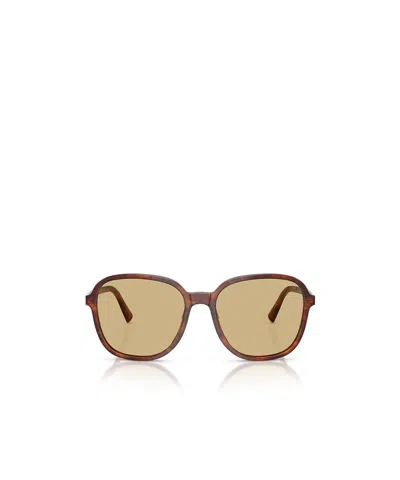 Miu Miu Womens Brown Mu B01s Square-frame Acetate Sunglasses In Brown