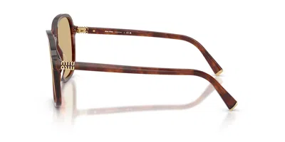 Miu Miu Womens Brown Mu B01s Square-frame Acetate Sunglasses In Brown