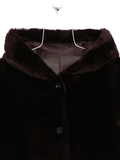 Arma Ambra Jacket In Brown