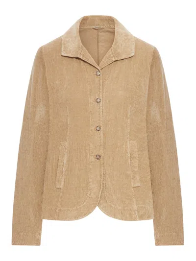 Transit Flared Velvet Ribbed Jacket In Brown