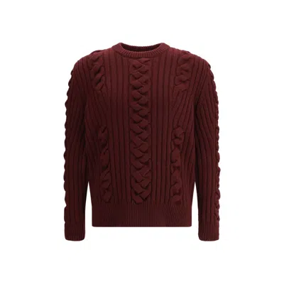 Alexander Mcqueen Alexander Mc Queen Wool Sweater In Brown