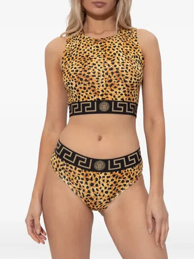 Versace Medusa-motif Leopard-print Top In Brown