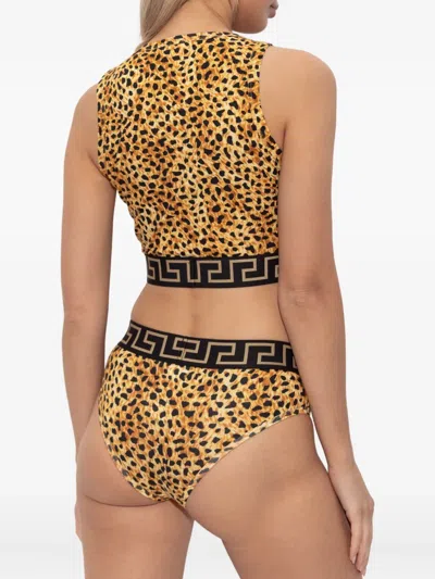 Versace Medusa-motif Leopard-print Top In Brown