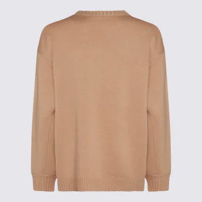 Max Mara Wool And Cashmere Pullover In Brown