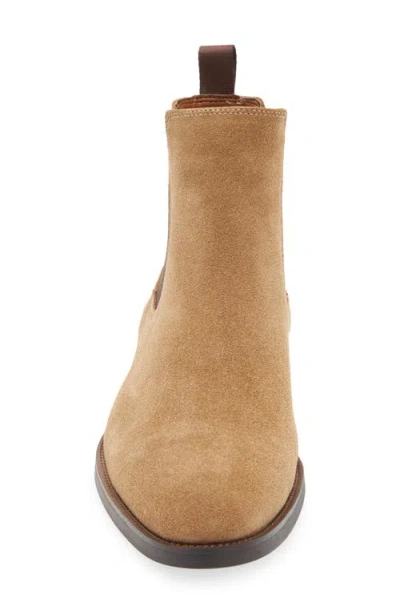 Steve Madden Brompton Chelsea Boot In Brown