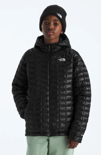 The North Face Kids' Thermoball Quilted Hooded Jacket In Black