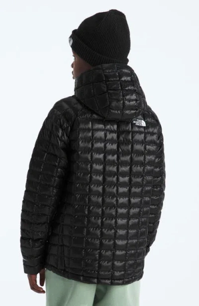 The North Face Kids' Thermoball Quilted Hooded Jacket In Black