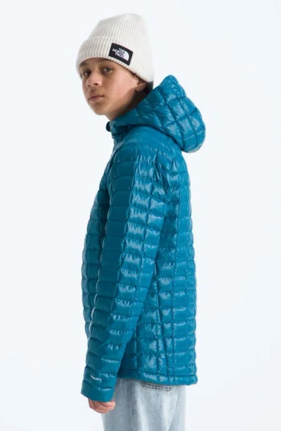 The North Face Kids' Thermoball Quilted Hooded Jacket In Blue
