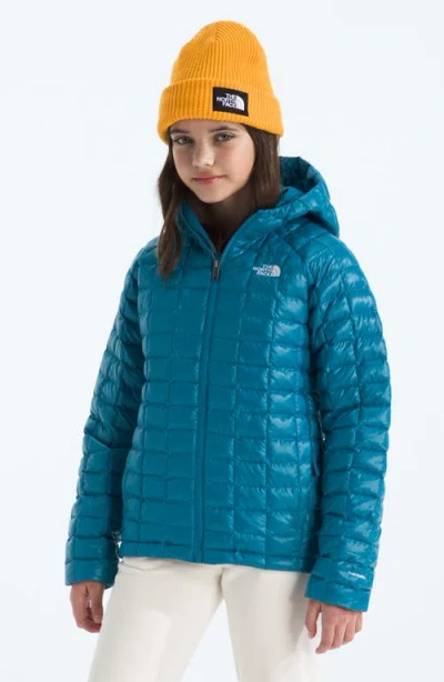 The North Face Kids' Thermoball Quilted Hooded Jacket In Blue