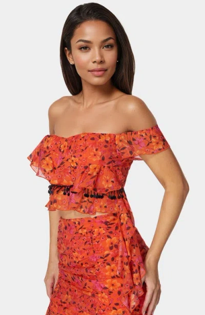 Bebe Ruffle Fringe Top In Multi