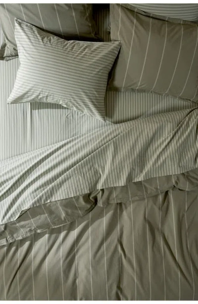 Parachute Percale Fitted Sheet In Green