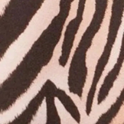 Ro&zo Zebra Print Jersey Maxi Dress In Neutral