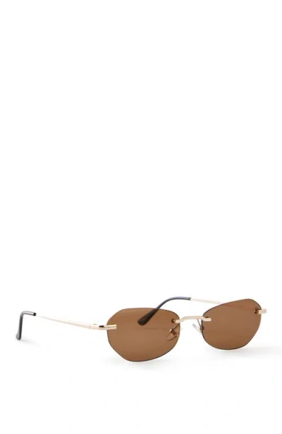 Cotton On The Dot Com Sunglasses In Brown