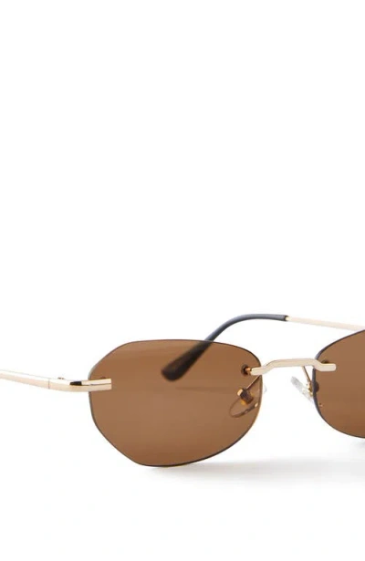 Cotton On The Dot Com Sunglasses In Brown