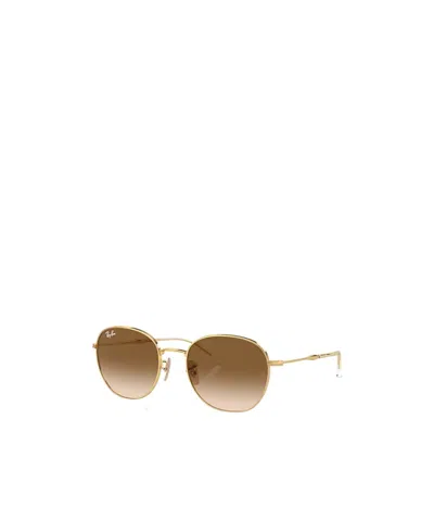 Ray Ban Ray-ban Round-frame Sunglasses In Brown