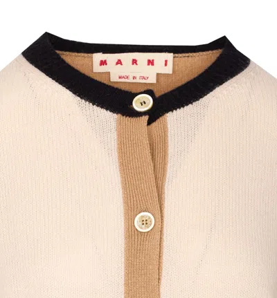 Marni Multicolor Cashmere Oversize Cardigan In Neutral