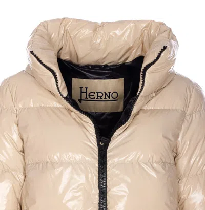 Herno Coatsjackets In Gold